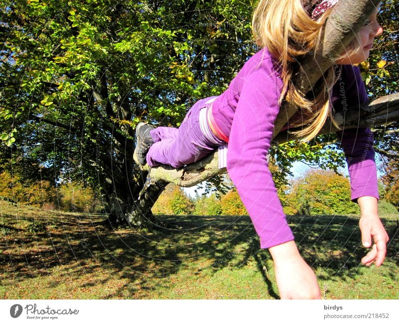 A girl makes herself comfortable on a spreading branch of a tree Girl Dream Lie Climbing Happy Playing 3 - 8 years Child Infancy Nature Beautiful weather Tree