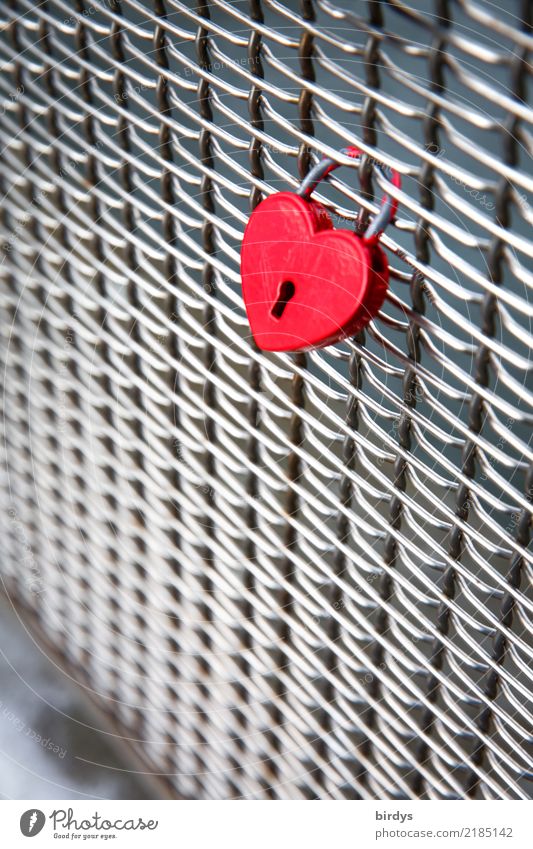 red as love Style Bridge railing Sign Heart Love padlock Esthetic Positive Red Silver Emotions Friendship Together Infatuation Relationship Passion Attachment
