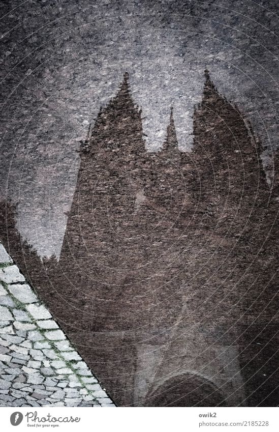Meissen from below Water Germany Small Town Church Dome Threat Dark Large Tall Wet Paving stone Church spire On the head Inverted Colour photo Subdued colour