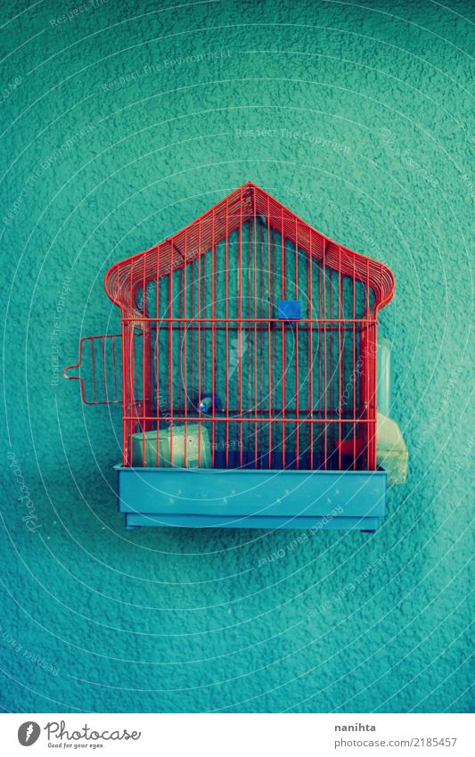 Red and empty birdcage Pet Decoration Birdhouse Line Old Dirty Dark Simple Cheap Retro Blue Turquoise Sadness Lovesickness Empty Conceptual design Trap Vintage