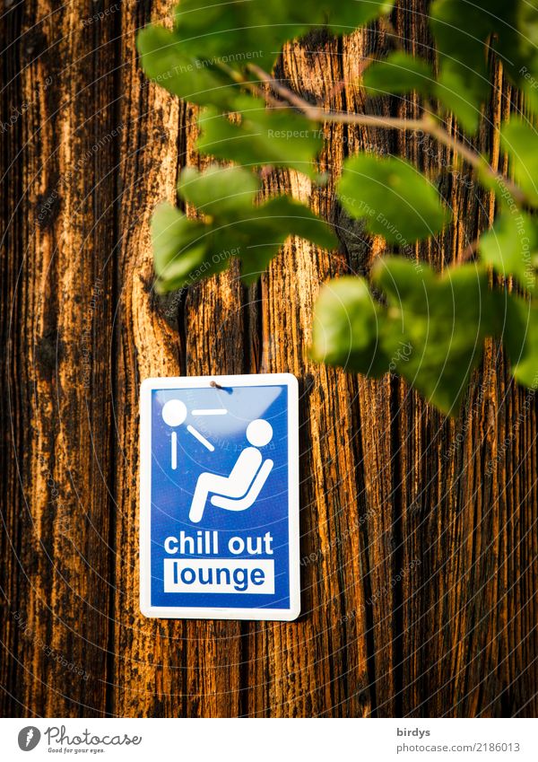 chill area Healthy Relaxation Calm Party Lounge Plant Wooden wall Sign Characters Signs and labeling Signage Warning sign To enjoy Friendliness Positive Blue
