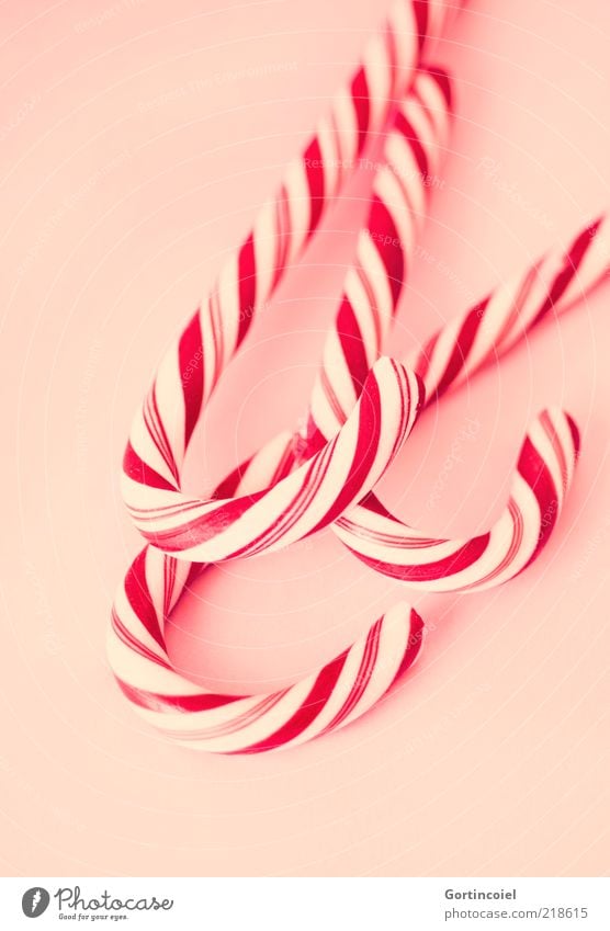 Sugar Red-White Food Candy Nutrition Delicious Sweet Candy cane Striped Unhealthy Colour photo Interior shot Studio shot Pattern Shallow depth of field Curved 3