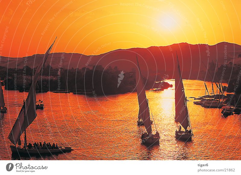 Ships in the sunset Egypt Nile Watercraft Sunset Romance Moral