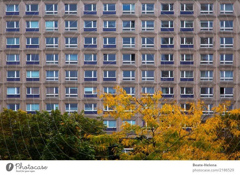 dashes of colour Living or residing Flat (apartment) Environment Autumn Plant Tree Bushes Park Berlin High-rise Manmade structures Building Architecture Facade