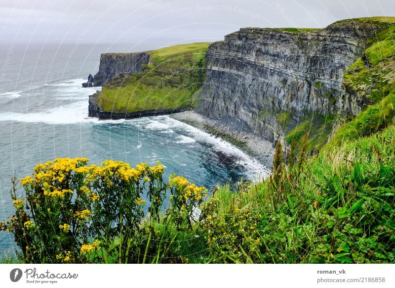 Don't take another step! Environment Nature Landscape Plant Elements Earth Summer Rock Canyon Coast Ocean Old Esthetic Threat Northern Ireland Cliff Steep