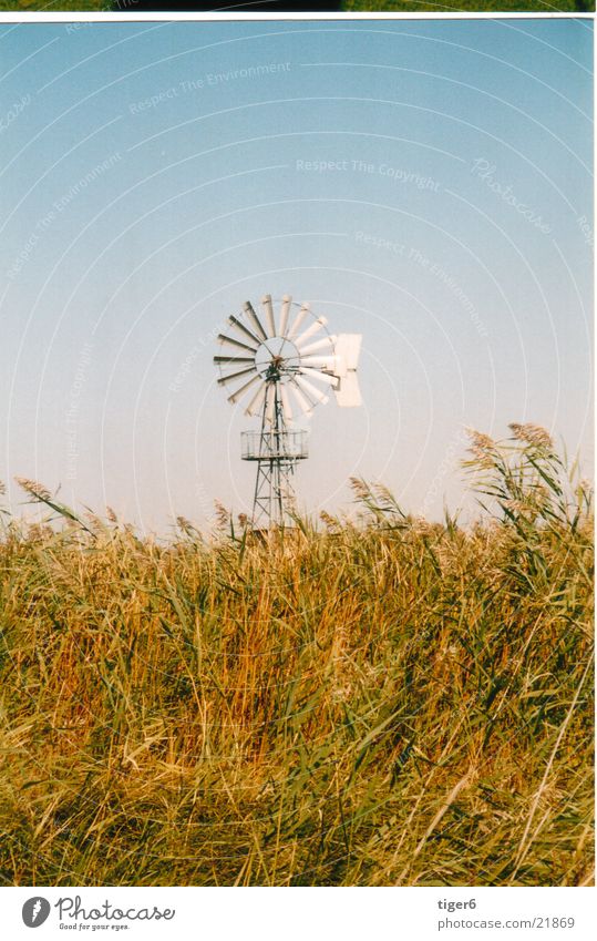 Windmill in the Puszta Mill Industry reed Energy industry Weather