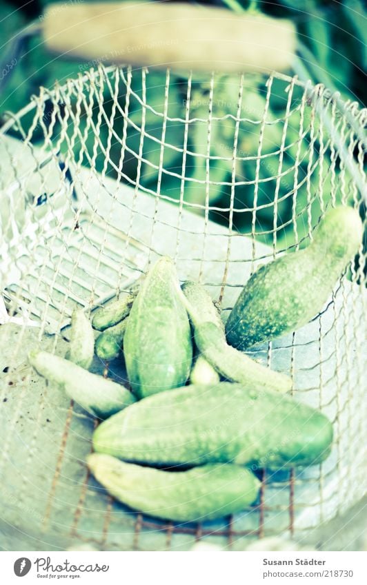 gherkins Food Vegetable Gherkin Cucumber Green Basket Shopping basket Organic produce Healthy Eating Fresh Harvest Biological Door handle Multicoloured