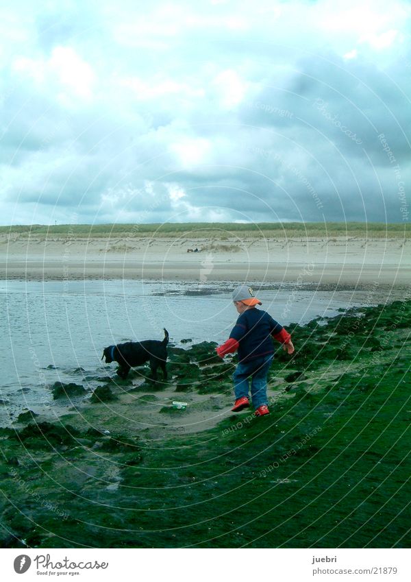 Child with dog at the North Sea Dog Search Netherlands Beach Ocean Man Water