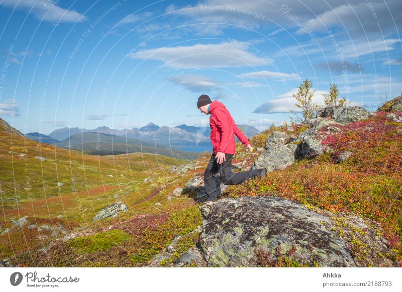 autumn excursion Trip Adventure Hiking Young man Youth (Young adults) Landscape Sky Horizon Autumn Beautiful weather Fjeld Norway Movement Walking Wild