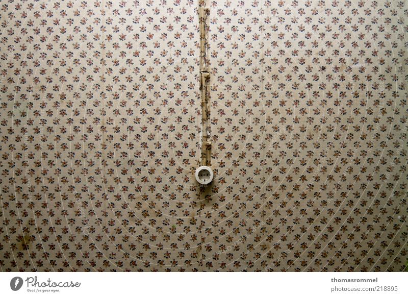 Wall Socket on nostalgic wallpaper - a Royalty Free Stock Photo from  Photocase