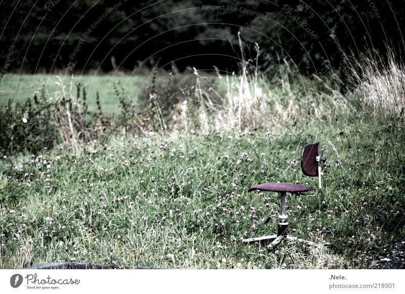 a swivel chair. Nature Plant Grass Bushes Swivel chair Chair Relaxation Moody Calm Unwavering Loneliness Subdued colour Exterior shot Deserted Copy Space left