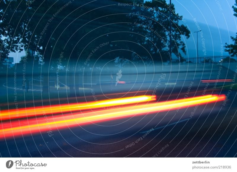 tempo Means of transport Traffic infrastructure Motoring Street Driving Speed Dynamics Tracer path Floodlight Tree Avenue Blur Colour photo Exterior shot