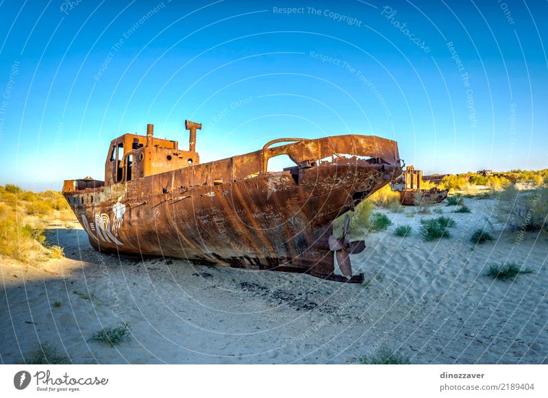 Ship cemetery, Aral Sea, Uzbekistan Ocean Environment Nature Landscape Sand Climate Climate change Lake Ruin Watercraft Dead animal Death Disaster desert muynak