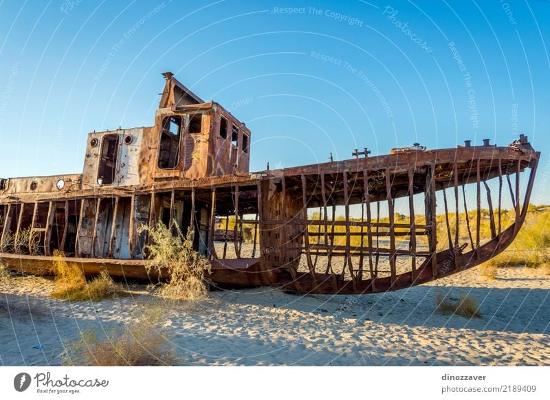 Rusted vessel in the ship cemetery, Uzbekistan Ocean Environment Nature Landscape Sand Climate Climate change Lake Ruin Watercraft Dead animal Death Disaster