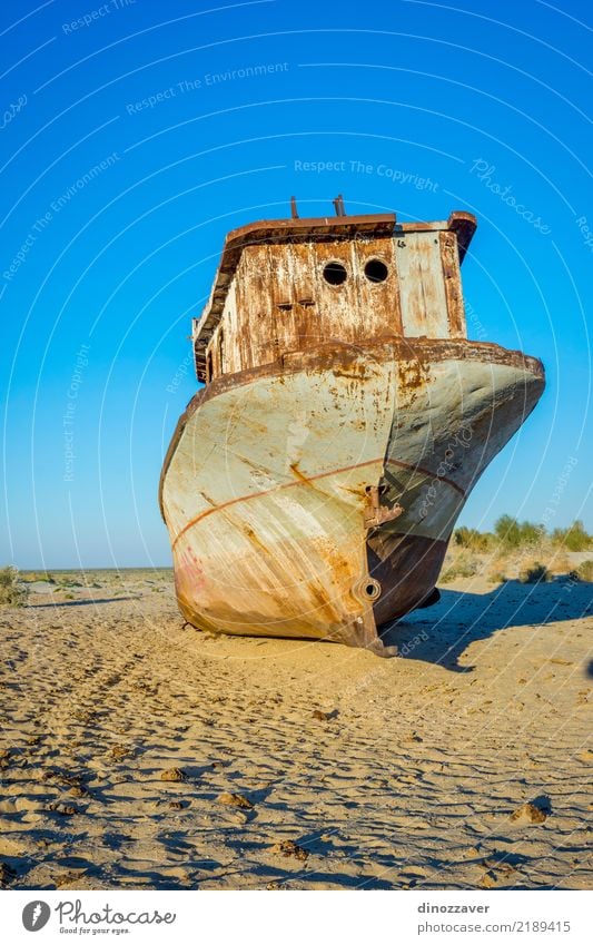 Rusted vessel in the ship cemetery, Uzbekistan Ocean Group Environment Nature Landscape Sand Climate Climate change Lake Ruin Watercraft Dead animal Death