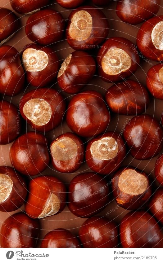 #AS# many chestnuts Art Esthetic Chestnut tree Many Brown Autumn Collection Colour photo Multicoloured Interior shot Studio shot Close-up Detail Experimental