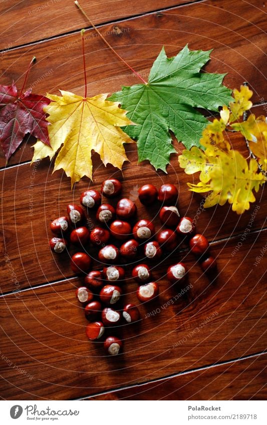#AS# Autumn table Art Work of art Esthetic Chestnut tree Chestnut leaf Autumnal Autumn leaves Autumnal colours Automn wood Autumn wind Table Leaf Colour photo