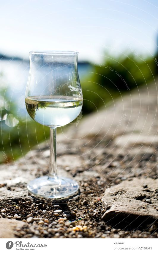 A glass of Riesling (II) Beverage Alcoholic drinks Wine White wine Glass Wine glass Whitewine glass Lifestyle Style Well-being Contentment Relaxation Summer