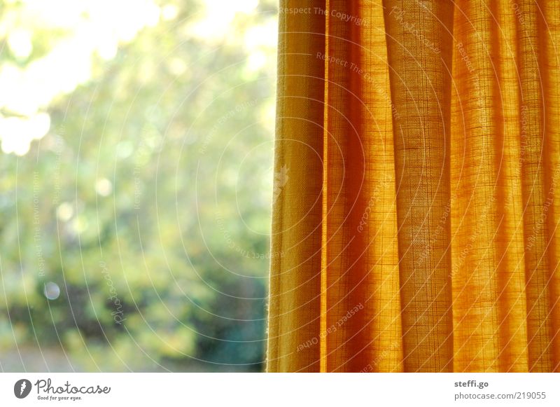 behind Swedish curtains Flat (apartment) Interior design Deserted Window Observe Old Retro Yellow Safety Protection Safety (feeling of) Curtain Screening Day