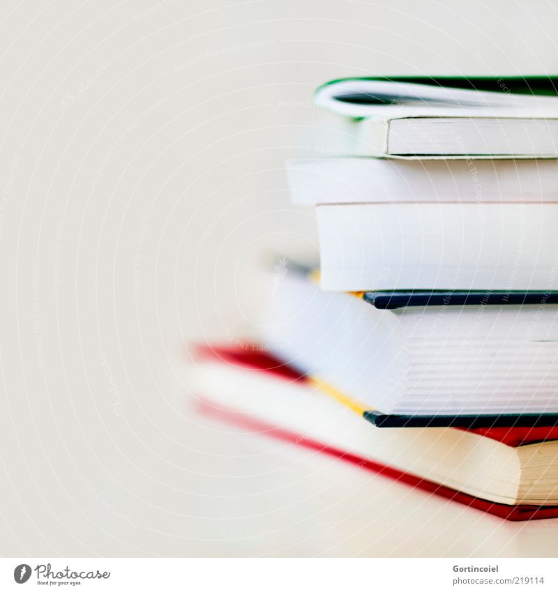 reading Education Study Academic studies Book pile of books Reading matter Know Stack Bookworm Colour photo Interior shot Copy Space left Isolated Image