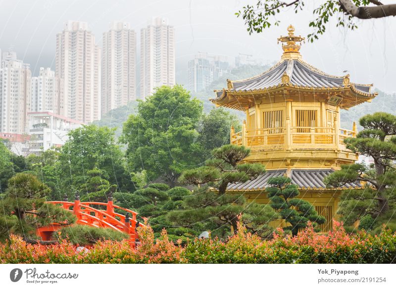 Nan Lian Garden at Hong Kong. Style Vacation & Travel Tourism Summer Landscape Park Lake Bridge Building Architecture Historic Blue Gold Green Red