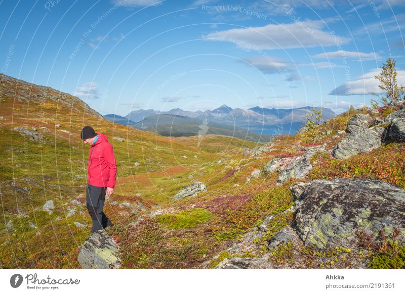fair-weather walk Vacation & Travel Trip Adventure Young man Youth (Young adults) Nature Landscape Sky Autumn Beautiful weather Rock Mountain Fjord Fjeld Norway