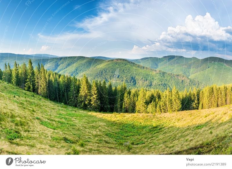 Panorama with green mountains Beautiful Vacation & Travel Tourism Summer Mountain Environment Nature Landscape Plant Sky Clouds Horizon Sunrise Sunset Sunlight