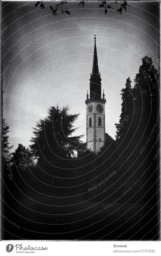 steeple Tree Leaf Park cham Switzerland Small Town Church Tower Black White Film 35mm Ilford FP4+ Black & white photo Exterior shot Day Light Shadow Contrast