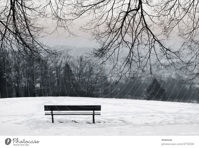 resting point Winter Snow Nature Landscape Ice Frost Tree Branch Park Hill Bench Cold Emotions Calm Loneliness Uniqueness Peace Stagnating Contentment