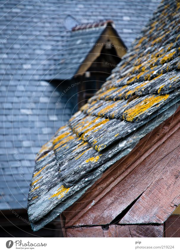 even slower Moss Lichen House (Residential Structure) Castle Preservation of historic sites Roof Dormer first Roof beams Slate shifted Wood Old Gray Pink