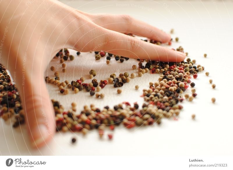 Wipe it off. Herbs and spices Multicoloured White Pepper Hand Cleaning Blur Colour photo Interior shot Flash photo Close-up Fingers Many