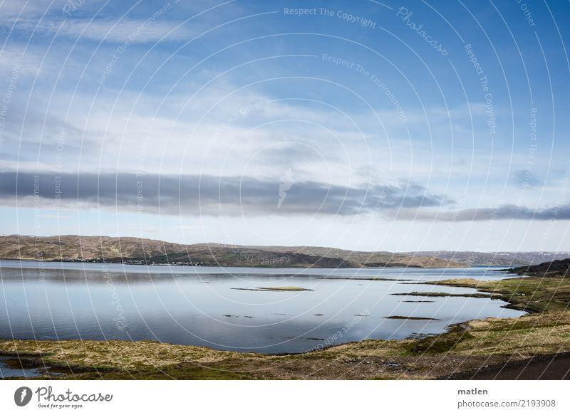 still wind Nature Landscape Plant Air Water Sky Clouds Horizon Spring Beautiful weather Grass Moss Hill Coast Fjord Island Blue Brown Yellow Green Iceland