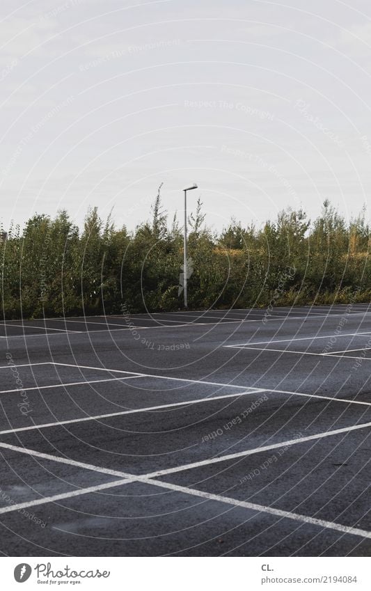 parking space Sky Bad weather Bushes Deserted Places Transport Traffic infrastructure Road traffic Motoring Line Gloomy Gray Green Loneliness Boredom Nature