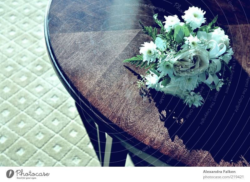 Therefore check who binds himself forever. Elegant Style Emotions Bouquet Table Ceremony Flower Relationship Connection Colour photo Subdued colour