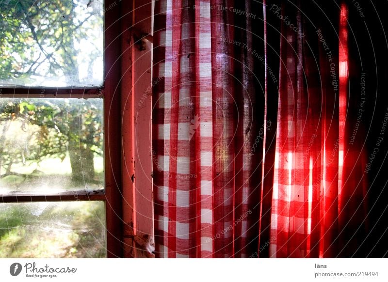 outlook Window Old Authentic Dirty Red Curtain Checkered Colour photo Interior shot Close-up Detail Pattern Structures and shapes Deserted Day Sunlight Sunbeam