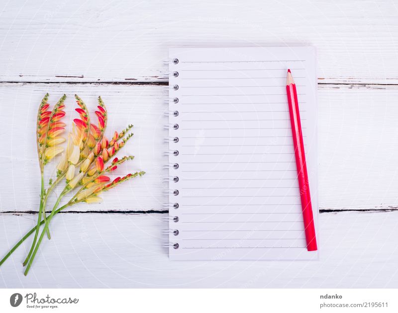 empty notebook in a line School Office Business Flower Paper Wood Write Clean Yellow Red White Know notepad page background Open education Blank space drawing