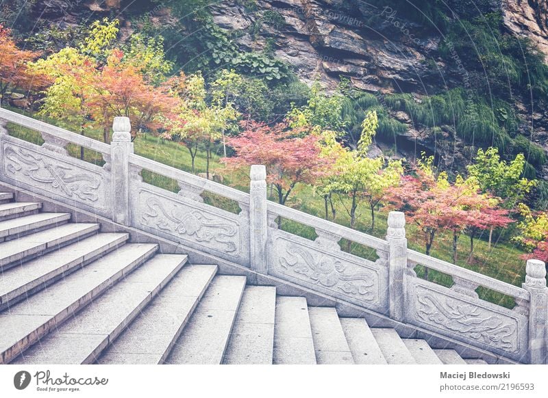 Marble stairs Garden Wallpaper Nature Autumn Tree Park Hill Architecture Stone Green marble background China step Vantage point filtered oriental Exterior shot
