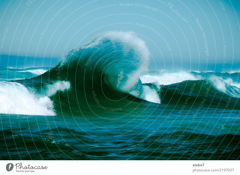 Shaft freshly combed Water Waves Ocean Pacific Ocean Fresh Maritime Wet Blue Turquoise Movement Energy Power Crest of the wave White crest Dynamics Effervescent
