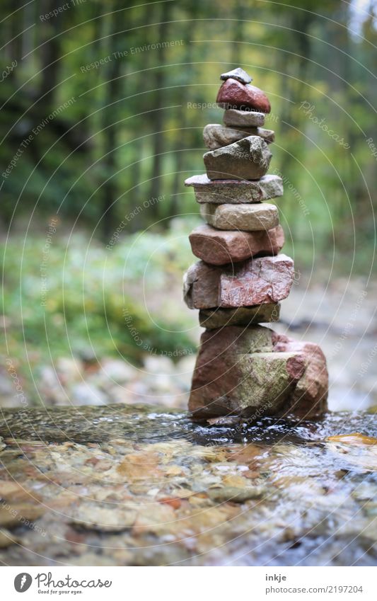stone tower Environment Nature Spring Summer Autumn Beautiful weather Forest Brook Harz Stone Pebble Stack Tower Tall Wet Emotions Moody Caution Serene Calm