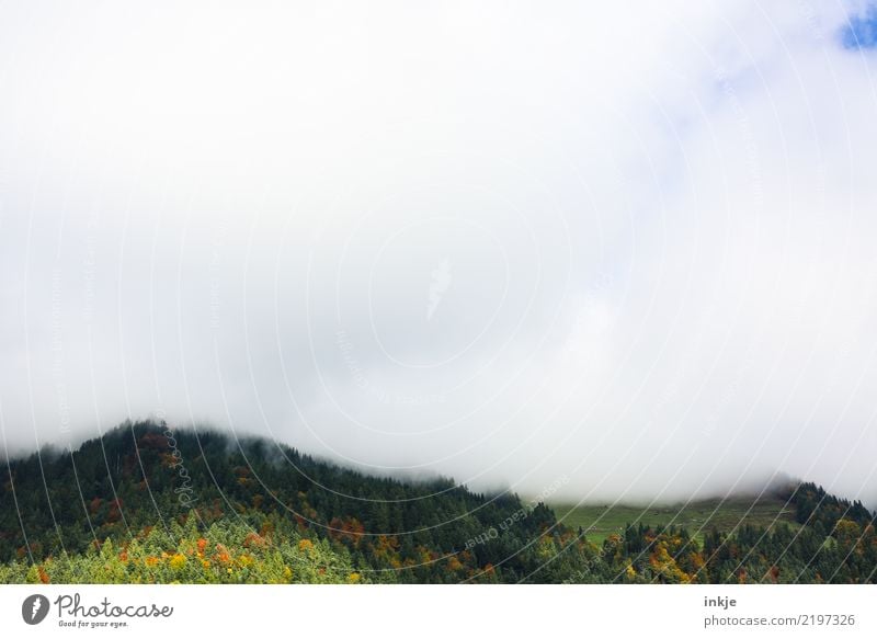 low clouds Nature Landscape Animal Air Sky Clouds Spring Summer Autumn Fog Forest Hill Alps Mountain Peak Dark Bright Blue Green White Emotions Moody