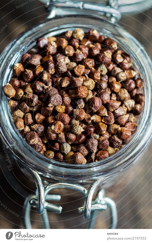 guinea pepper Herbs and spices grains of paradise Pepper Nutrition Africa Glass Metal Round Brown Delicious Tangy Cap Cooking Supply Food photograph moody