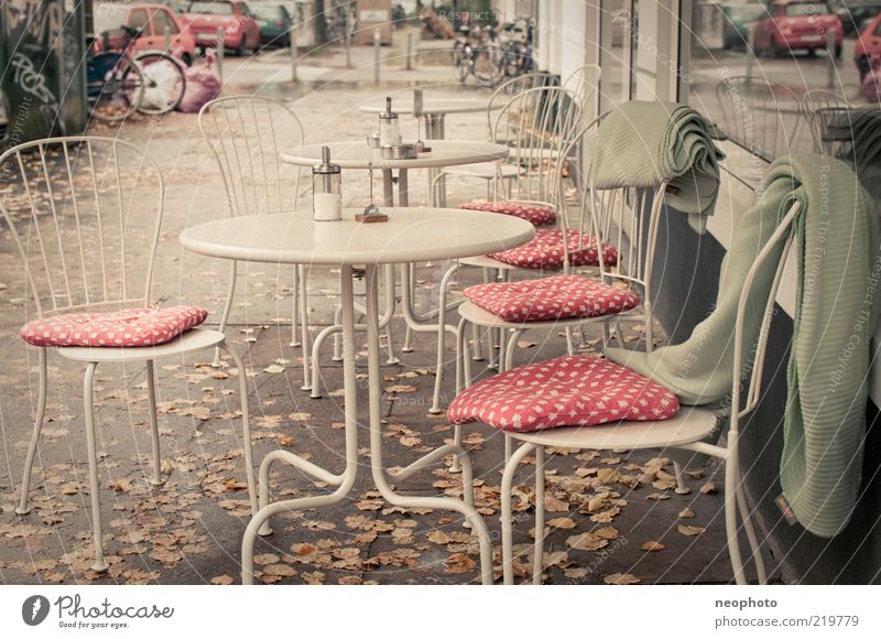 mushroom season Lifestyle Chair Relaxation Services Autumn Autumn leaves Café Blanket Spotted Subdued colour Exterior shot Deserted Day Central perspective