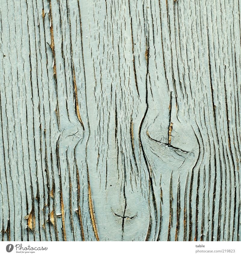 wooden face Wood Old Blue Transience Change Wood grain Knothole Weathered Paintwork Dye Light blue Colour photo Exterior shot Close-up Detail Deserted