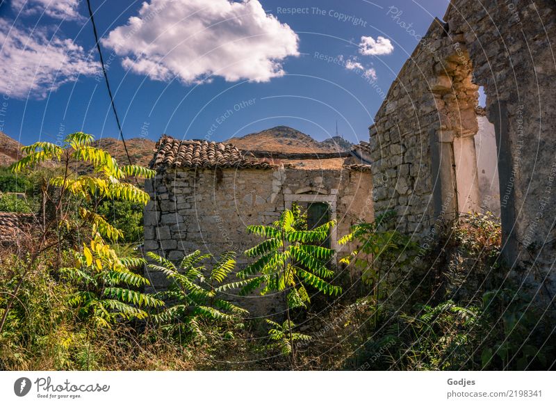 Ingrown ruin in Old Perithia Nature Plant Sky Clouds Summer Grass Bushes Wild plant Mountain Corfu Village Deserted House (Residential Structure) Ruin Building