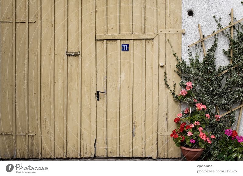 village idyll Lifestyle Calm Living or residing Flower Ivy Architecture Wall (barrier) Wall (building) Door Signs and labeling Esthetic Uniqueness Mysterious