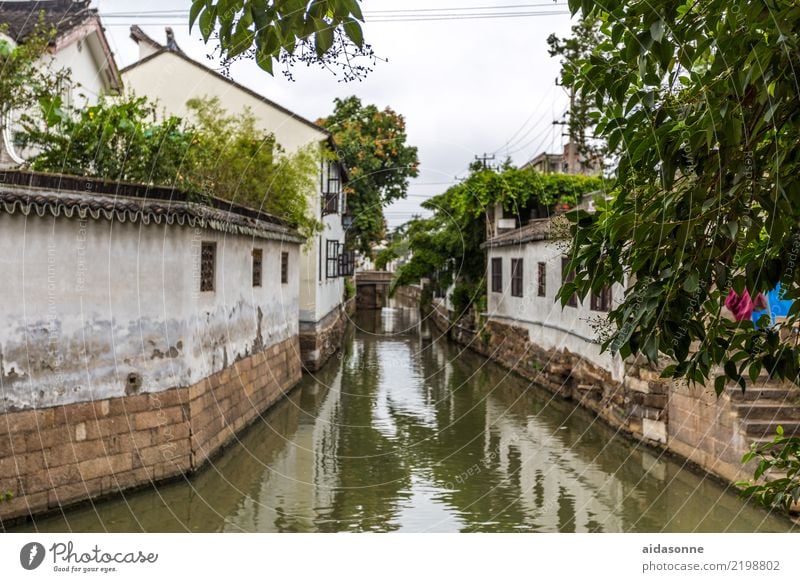 Channel in Xitang China Asia Town Old town Deserted House (Residential Structure) Beautiful Wanderlust Life Moody Colour photo Exterior shot Day Long shot
