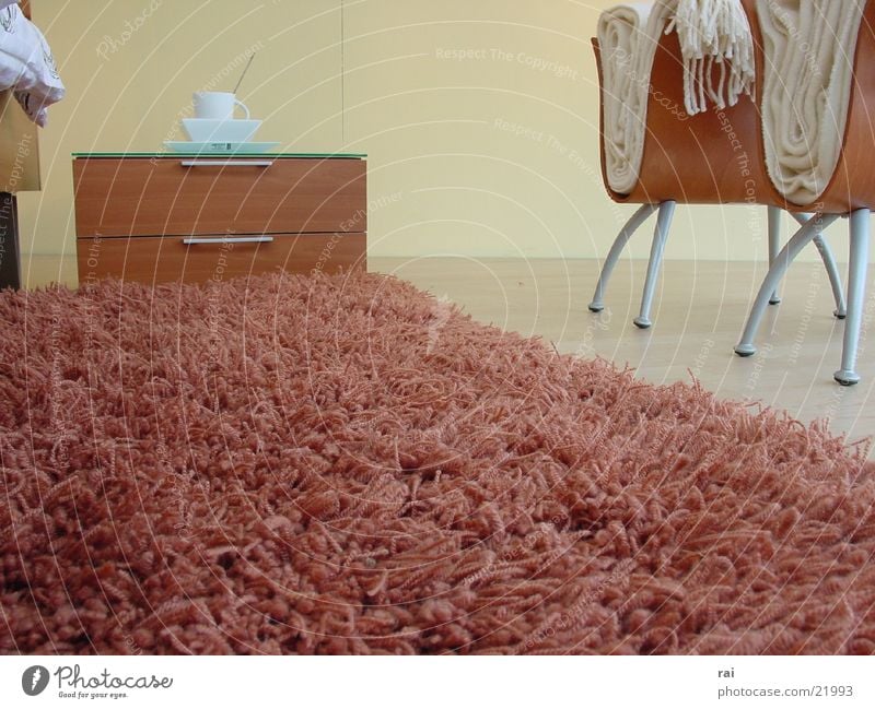 home Carpet Style Living or residing Floor covering Down