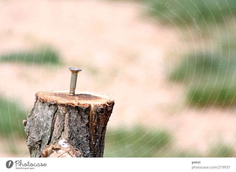 The lonely screw Tree stump Wood Metal Firm Round Brown Green Silver Colour photo Exterior shot Copy Space right Copy Space top Copy Space bottom Day Sunlight
