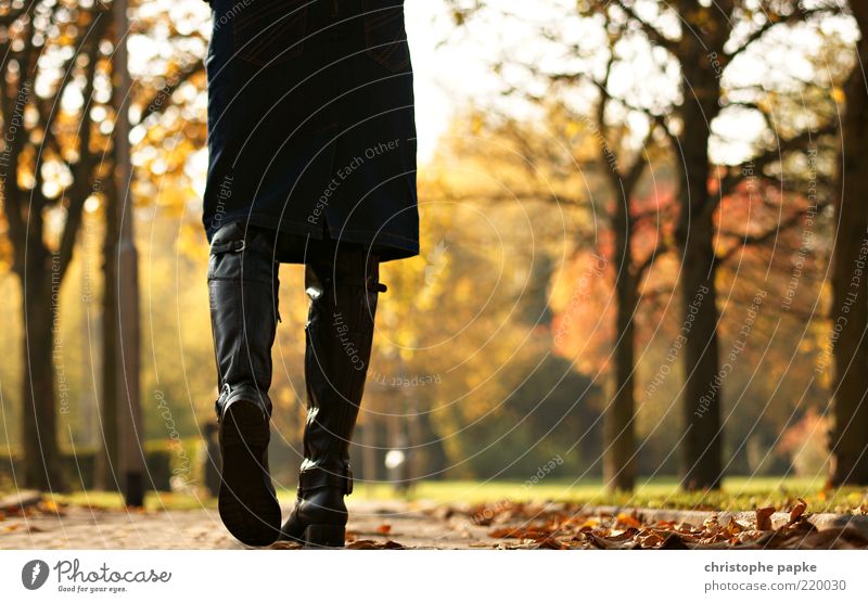 progress Leisure and hobbies Feminine Legs 1 Human being Autumn Beautiful weather Leaf Park Lanes & trails Skirt Boots Relaxation Going Infinity Willpower