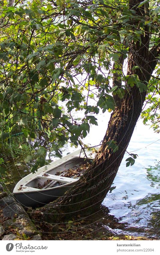 still life Watercraft Tree Tree trunk Ocean Resting place Jetty Calm Romance Motor barge wooden boat Old tethered Coast Escarpment Nature Rowboat